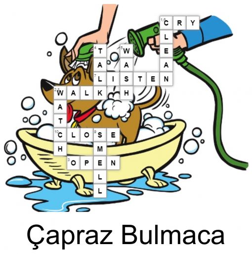  İngilizce Çappraz Bulmaca,Wordsearch
